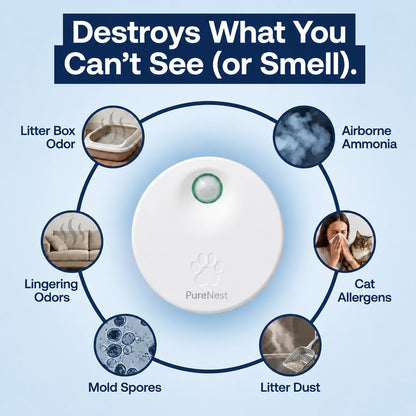 PureNest